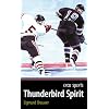 Thunderbird Spirit