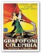 Grafofoni Columbia, 1920 by Anonymous 8"x10.625" Art Print Poster