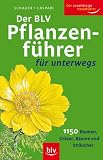 Produkt-Bild: Der BLV Pflanzenf&uuml;hrer f&uuml;r unterwegs: 1150 Blumen, Gr&auml;ser, B&auml;ume und Str&auml;ucher