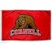College Flags & Banners Co. Big Red Cornell Large College Flag