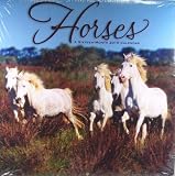 Horses 2010 Calendar