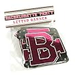Bachelorette Party Letter Banner