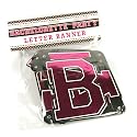 Bachelorette Party Banner