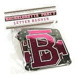 Bachelorette Party Letter Banner
