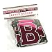 Bachelorette Party Letter Banner