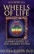 Wheels of Life: A User's Guide to the Chakra System (Llewellyn's New Age)
