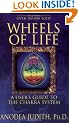 Wheels of Life: A User's Guide to the Chakra System (Llewellyn's New Age Series)