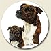 Staffordshire Bull Terrier Coaster, Single Coaster for Your Car