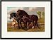 Search : Black Framed/Matted Print 17x23, Clydesdale Stallion & Mare