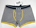 DOLCE & GABBANA "Miami" Herren Logo Maxi Boxer Shorts Stretch-Cotton (Grau/Gelb)