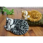 おやすみ親子猫 (ムービングタイプ) 【アメリカンショートヘア】(寝息音とお腹の中央部分が上下運動)
