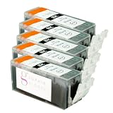 Sophia Global Compatible Ink Cartridge Replacement for Canon PGI-225 (5 Large Black)