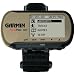 GARMIN 010-00364-01 Foretrex 101 GPS Receiver
