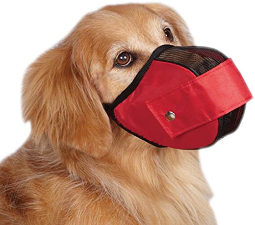 Guardian Gear Cordura Nylon Fabric Mesh Dog Muzzle, Medium, 9-1/2-Inch, Red
