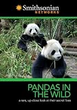 Pandas in the Wild