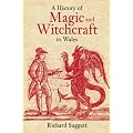 A History of Magic and Witchcraft in Wales (History of Wales)