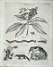 Encyclopaedia Britannica Plants Animals Insects Science