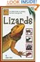 Lizards (Beginning Vivarium Systems)