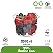 ECO PRODUCTS Compostable Clear PLA Plastic 4oz Portion Cups, Case of 2000, Round Cold Food Containers, Renewable Plant-Based, Lid Sold Separately, Disposable