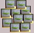 Storage Boxes (10) Collapsible blue with Green Rim Box 8 in x 8 in x 8 in