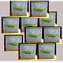 Storage Boxes (10) Collapsible blue with Green Rim&hellip by Storage Essential