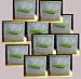 Storage Boxes (10) Collapsible blue with Green Rim Box 8 in x 8 in x 8 in
