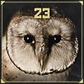 23