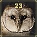 23