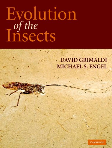 Evolution of the Insects (Cambridge Evolution Series)