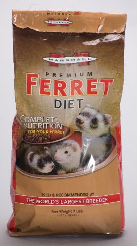 ferret food