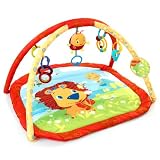 Bright Starts Lion In The Park Activity Gym