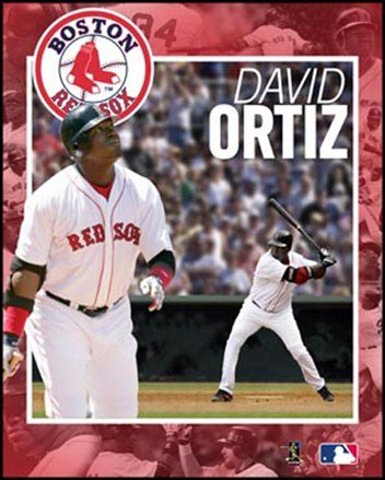 Boston Red Sox David Ortiz 20x16 3-D Poster