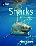 Sharks