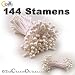 Bundle of 144 Double End Pearl Stamens 3mm Head 2in long White