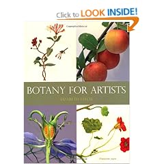 Botany for Artists