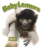 Baby Lemurs (Its Fun to Learn about Baby Animals)