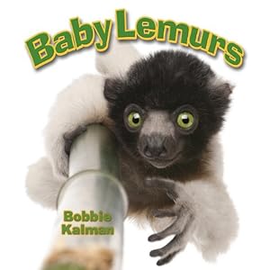 Baby Lemur Animal