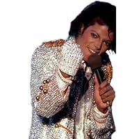 Michael Jackson Sequin Glove