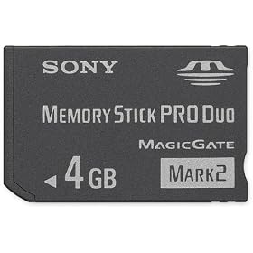 Sony Memory Stick PRO Duo Flash Memory Card
