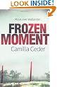 Frozen Moment