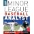 Deric McKamey's 2009 Minor League Baseball Analyst