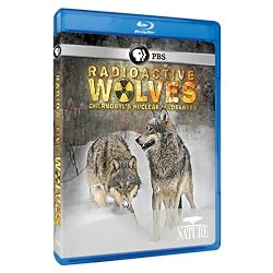 Nature: Radioactive Wolves [Blu-ray]