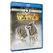 Nature:�Radioactive�Wolves [Blu-Ray]