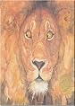 The Lion and the Mouse (Chinese Edition)