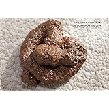DOMAGRON Premium Fake Poop