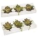 Green Leaf tea light candle holder set/2