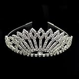 Crystalmood Girls Clear Rhinestone Full Bridal Side Combs Tiara