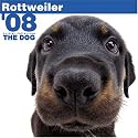 Rottweiler 2008 Square Wall Calendar (German, French, Spanish and English Edition)