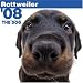 Rottweiler 2008 Square Wall Calendar
