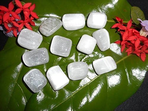 Selenite Tumbled Stones Half a Pound Bulk Wholesale Lot Polished Crown Chakra by Worldofclass
